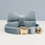 Charming Cat Collar with Adorable Bowknot and Bell Feature