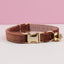 Luxury Velvet Customized Cat Collar