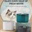 Superb 3L Cat Water Fountain