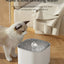 Superb 3L Cat Water Fountain