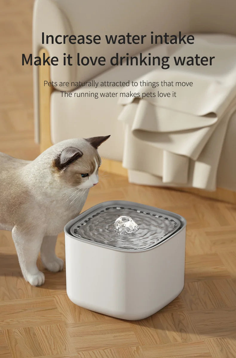 Superb 3L Cat Water Fountain