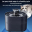 Clever Cat Water Fountain