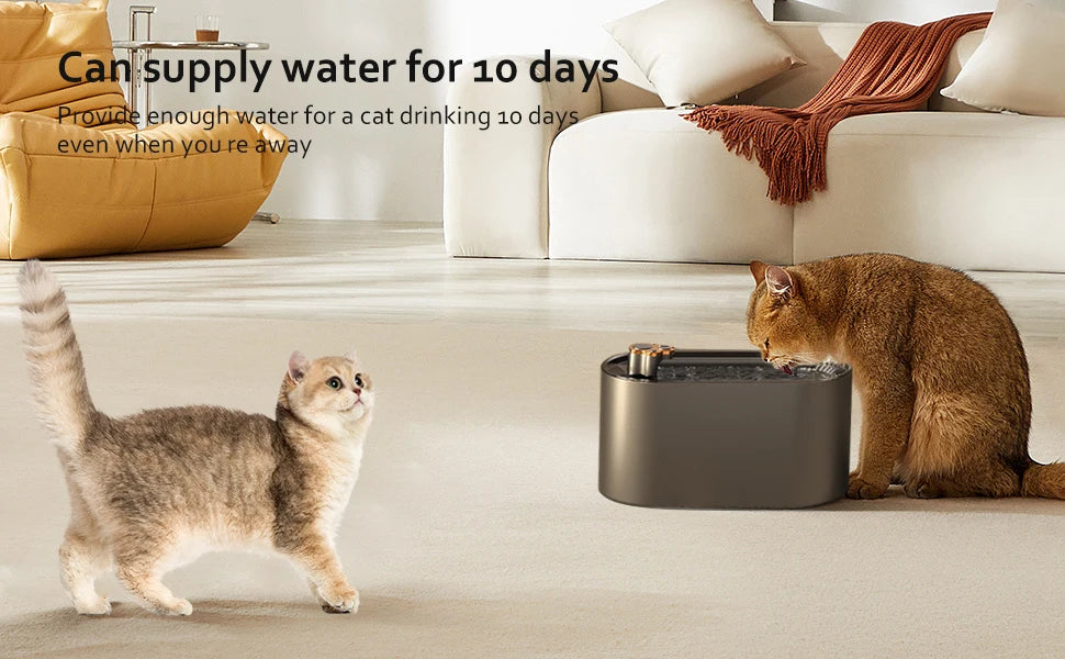 Smart Pump Cat Fountain