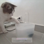 Silent Reign - Cat Water Fountain with Genius Automatic Pet Hydration