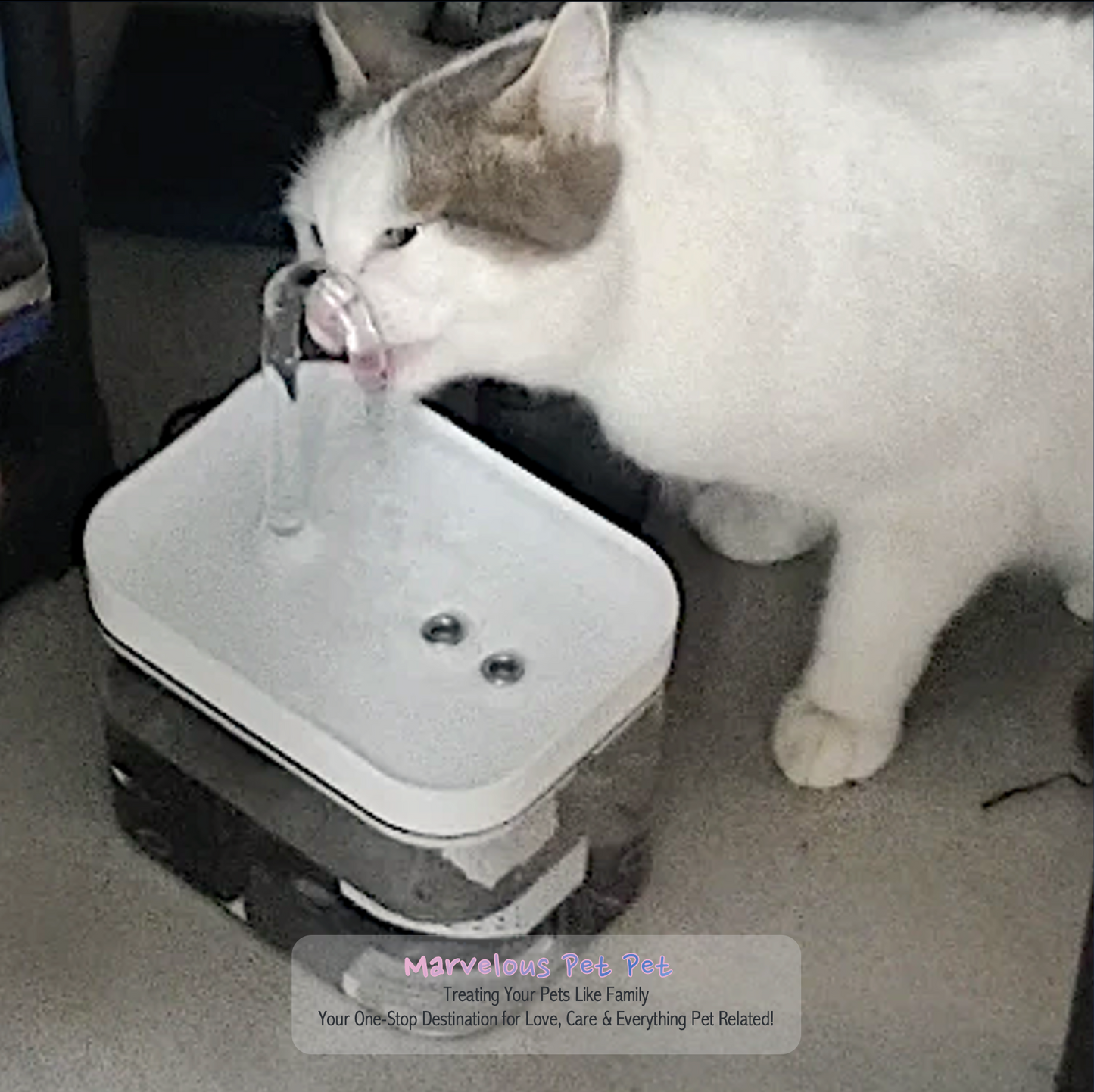 Silent Reign - Cat Water Fountain with Genius Automatic Pet Hydration